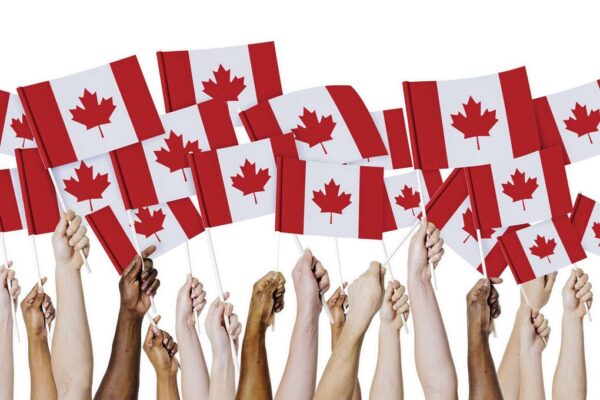 diverse people waving flags